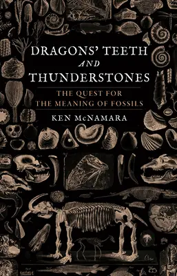 Zęby smoków i kamienie gromu: Poszukiwanie znaczenia skamieniałości - Dragons' Teeth and Thunderstones: The Quest for the Meaning of Fossils