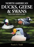 Północnoamerykańskie kaczki, gęsi i łabędzie - przewodnik identyfikacji - North American Ducks, Geese and Swans - Identification Guide