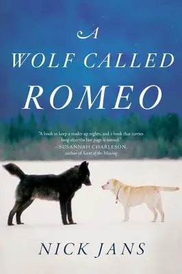 Wilk zwany Romeo - A Wolf Called Romeo