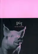 Świnia - Pig