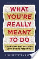 Co naprawdę powinieneś robić: Mapa drogowa do osiągnięcia unikalnego potencjału - What You're Really Meant to Do: A Road Map for Reaching Your Unique Potential