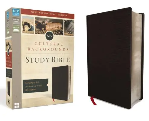 NIV, Biblia do studiowania tła kulturowego, skóra klejona, czarna: Ożywia starożytny świat Pisma Świętego - NIV, Cultural Backgrounds Study Bible, Bonded Leather, Black: Bringing to Life the Ancient World of Scripture