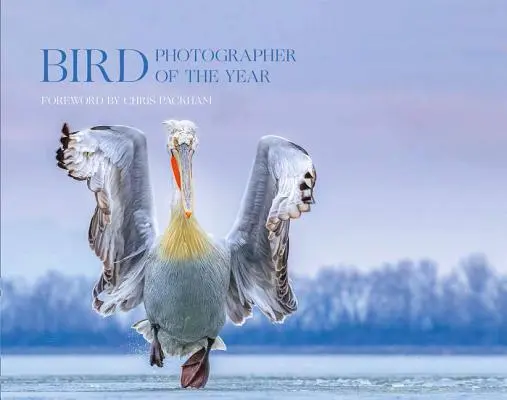 Bird Photographer of the Year: Kolekcja 4 (Bird Photographer of the Year) - Bird Photographer of the Year: Collection 4 (Bird Photographer of the Year)