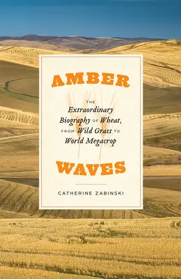 Amber Waves: Niezwykła biografia pszenicy, od dzikiej trawy do światowej megakropli - Amber Waves: The Extraordinary Biography of Wheat, from Wild Grass to World Megacrop