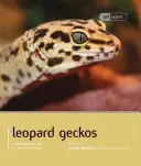 Gekon lamparci - Leopard Gecko