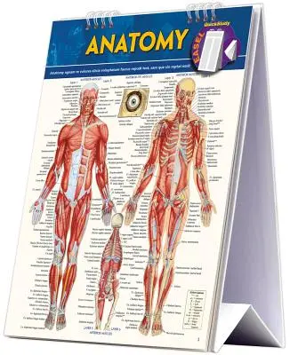 Anatomy Easel Book: Narzędzie do szybkiej nauki - Anatomy Easel Book: A Quickstudy Reference Tool