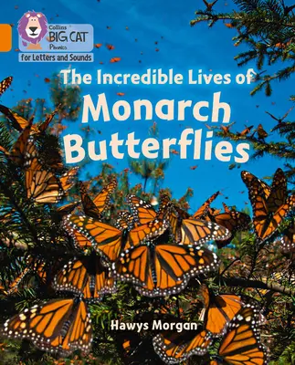 Niesamowite życie motyli monarchów - zespół 06/pomarańczowy - Incredible Lives of Monarch Butterflies - Band 06/Orange