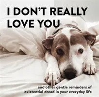 I Don't Really Love You: I inne delikatne przypomnienia o egzystencjalnym strachu w codziennym życiu - I Don't Really Love You: And Other Gentle Reminders of Existential Dread in Your Everyday Life