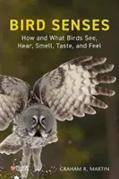 Ptasie zmysły: Jak i co ptaki widzą, słyszą, wąchają, smakują i czują? - Bird Senses: How and What Birds See, Hear, Smell, Taste and Feel