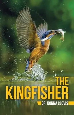 Zimorodek - The Kingfisher