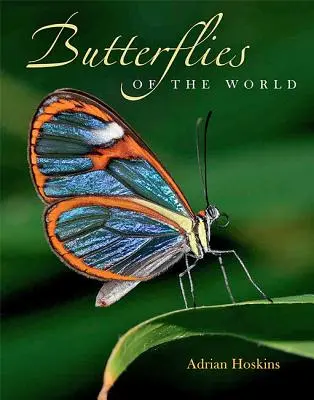 Motyle świata - Butterflies of the World