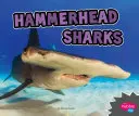 Rekiny młoty - Hammerhead Sharks