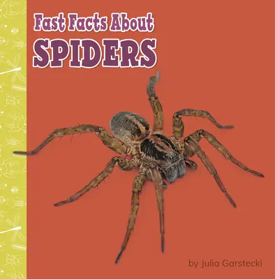 Szybkie fakty o pająkach - Fast Facts about Spiders