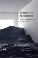 Anaesthetics of Existence: Eseje o doświadczeniu na krawędzi - Anaesthetics of Existence: Essays on Experience at the Edge