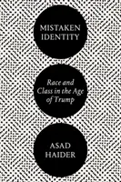 Błędna tożsamość: Rasa i klasa w erze Trumpa - Mistaken Identity: Race and Class in the Age of Trump