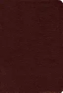 Amplified Bible-Am-Large Print: Oddaje pełne znaczenie oryginalnej greki i hebrajskiego - Amplified Bible-Am-Large Print: Captures the Full Meaning Behind the Original Greek and Hebrew