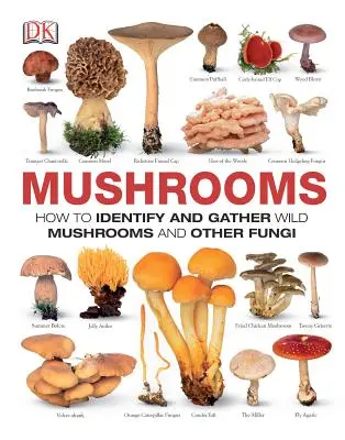 Grzyby: Jak identyfikować i zbierać dzikie grzyby i inne grzyby - Mushrooms: How to Identify and Gather Wild Mushrooms and Other Fungi