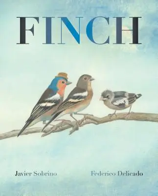 Zięba - Finch