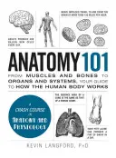 Anatomia 101: Od mięśni i kości po narządy i układy - przewodnik po tym, jak działa ludzkie ciało - Anatomy 101: From Muscles and Bones to Organs and Systems, Your Guide to How the Human Body Works