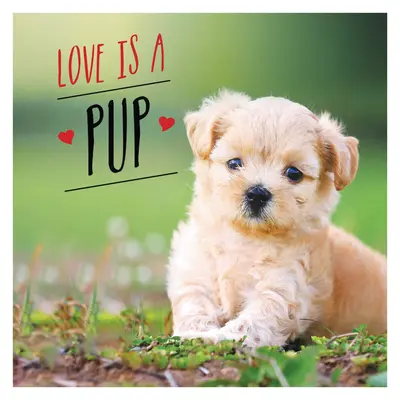 Love Is a Pup: Pieskie święto najsłodszych szczeniąt na świecie - Love Is a Pup: A Dog-Tastic Celebration of the World's Cutest Puppies