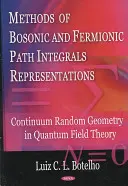 Metody reprezentacji bozonowych i fermionowych całek po ścieżce - losowa geometria ciągłości w kwantowej teorii pola - Methods of Bosonic & Fermionic Path Integrals Representations - Continuum Random Geometry in Quantum Field Theory