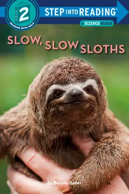 Powolne, powolne leniwce - Slow, Slow Sloths