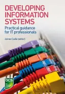 Rozwój systemów informatycznych: Praktyczne wskazówki dla specjalistów IT - Developing Information Systems: Practical Guidance for It Professionals