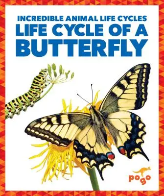 Cykl życiowy motyla - Life Cycle of a Butterfly