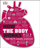 Jak działa ciało - fakty wyjaśnione w prosty sposób - How the Body Works - The Facts Simply Explained