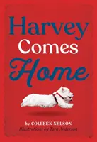 Harvey wraca do domu - Harvey Comes Home