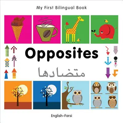 Moja pierwsza dwujęzyczna książka - przeciwieństwa (angielski-farsi) - My First Bilingual Book-Opposites (English-Farsi)