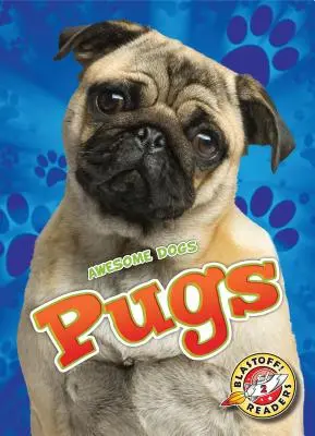 Mopsy - Pugs