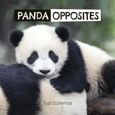 Przeciwieństwa pandy - Panda Opposites