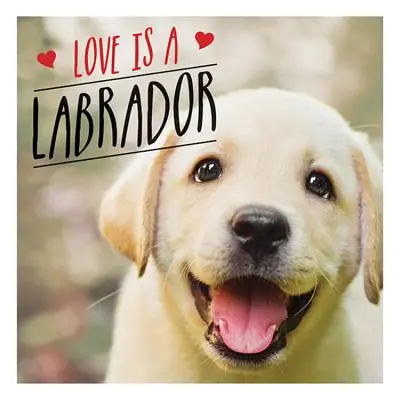 Love is a Labrador - Labtastyczna celebracja ulubionego psa na świecie - Love is a Labrador - A Lab-Tastic Celebration of the World's Favourite Dog