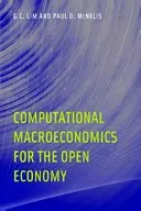 Makroekonomia obliczeniowa dla gospodarki otwartej - Computational Macroeconomics for the Open Economy
