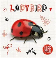 Biedronka - Ladybird