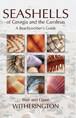 Muszle z Georgii i Karoliny: Przewodnik plażowicza - Seashells of Georgia and the Carolinas: A Beachcomber's Guide