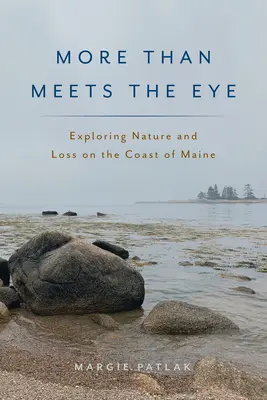 Więcej niż widać na pierwszy rzut oka: Odkrywanie natury i straty na wybrzeżu Maine - More Than Meets the Eye: Exploring Nature and Loss on the Coast of Maine