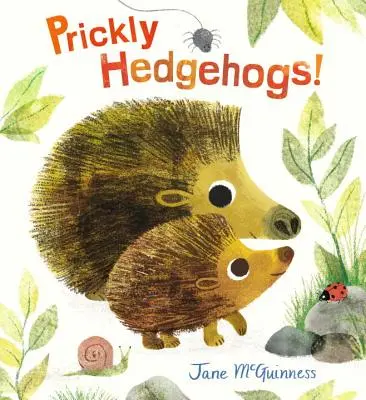 Kłujące jeże! - Prickly Hedgehogs!