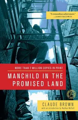 Dziecko w ziemi obiecanej - Manchild in the Promised Land