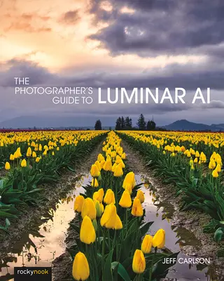 Przewodnik fotografa po Luminar AI - The Photographer's Guide to Luminar AI