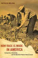Jak powstaje rasa w Ameryce, 38: Imigracja, obywatelstwo i historyczna siła skryptów rasowych - How Race Is Made in America, 38: Immigration, Citizenship, and the Historical Power of Racial Scripts