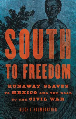 Na południe do wolności: Ucieczka niewolników do Meksyku i droga do wojny secesyjnej - South to Freedom: Runaway Slaves to Mexico and the Road to the Civil War