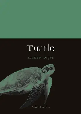 Żółw - Turtle