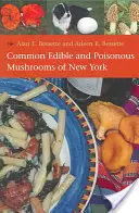 Powszechne jadalne i trujące grzyby Nowego Jorku - Common Edible and Poisonous Mushrooms of New York