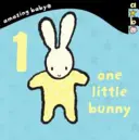 1 Little Bunny - Amazing Baby