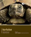 Żółw - Tortoise