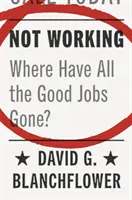 Nie pracuję: Gdzie się podziały dobre posady? - Not Working: Where Have All the Good Jobs Gone?