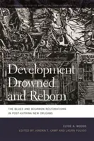 Rozwój utonął i odrodził się: Blues i Bourbon w Nowym Orleanie po Katrinie - Development Drowned and Reborn: The Blues and Bourbon Restorations in Post-Katrina New Orleans