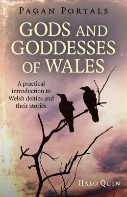 Pogańskie portale - Bogowie i boginie Walii: Praktyczne wprowadzenie do walijskich bóstw i ich historii - Pagan Portals - Gods and Goddesses of Wales: A Practical Introduction to Welsh Deities and Their Stories